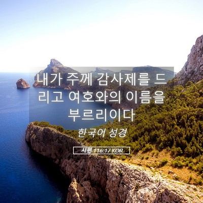 Picture 05 - 시편 116:17 KOR - 내가 주께 감사제를 드리고 여호와의 - Bible Verse Picture