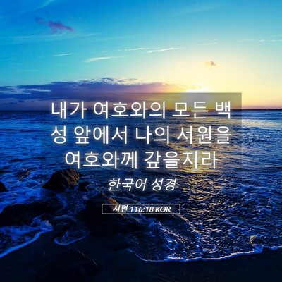 Picture 05 - 시편 116:18 KOR - 내가 여호와의 모든 백성 앞에서 - Bible Verse Picture