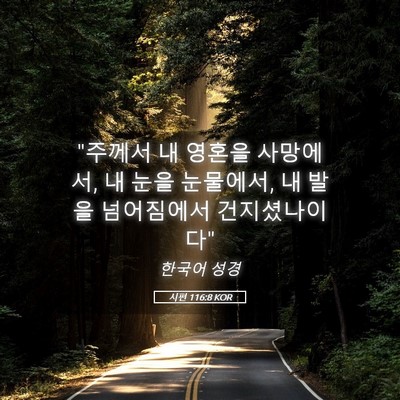 Picture 05 - 시편 116:8 KOR - 