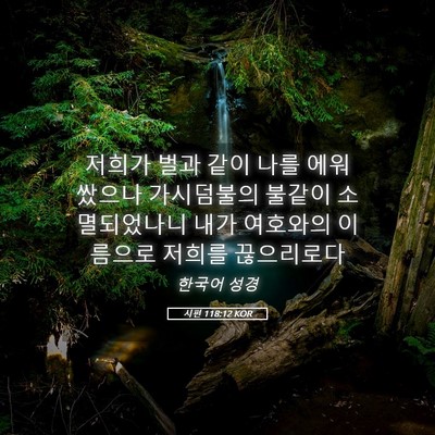 Picture 05 - 시편 118:12 KOR - 저희가 벌과 같이 나를 에워쌌으나 - Bible Verse Picture