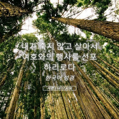 Picture 05 - 시편 118:17 KOR - 내가 죽지 않고 살아서 여호와의 - Bible Verse Picture