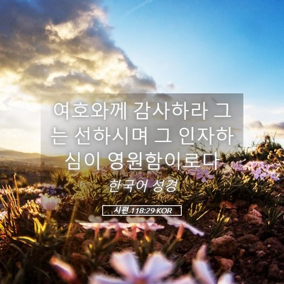 Picture 05 - 시편 118:29 KOR - 여호와께 감사하라 그는 선하시며 그 - Bible Verse Picture