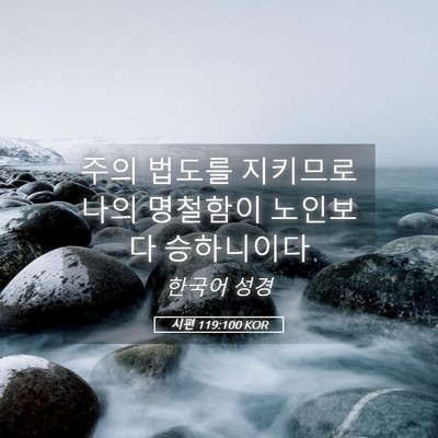 Picture 05 - 시편 119:100 KOR - 주의 법도를 지키므로 나의 명철함이 - Bible Verse Picture