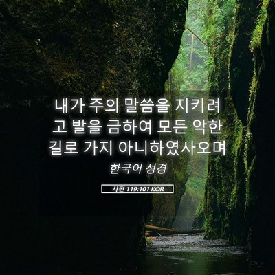 Picture 05 - 시편 119:101 KOR - 내가 주의 말씀을 지키려고 발을 - Bible Verse Picture