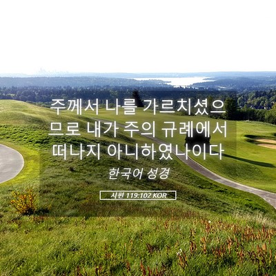 Picture 05 - 시편 119:102 KOR - 주께서 나를 가르치셨으므로 내가 - Bible Verse Picture