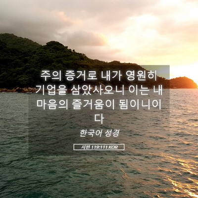 Picture 05 - 시편 119:111 KOR - 주의 증거로 내가 영원히 기업을 - Bible Verse Picture