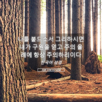 Picture 05 - 시편 119:117 KOR - 나를 붙드소서 그리하시면 내가 - Bible Verse Picture