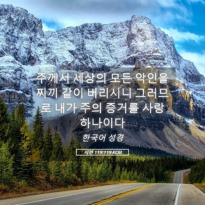 Picture 05 - 시편 119:119 KOR - 주께서 세상의 모든 악인을 찌끼 - Bible Verse Picture