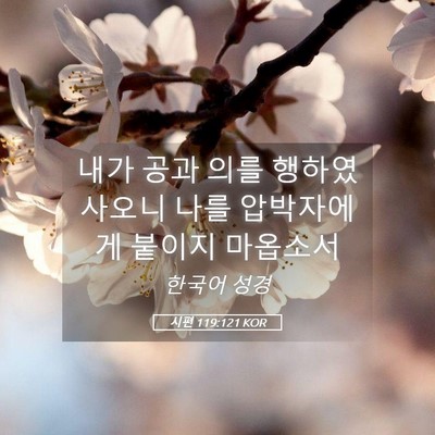Picture 05 - 시편 119:121 KOR - 내가 공과 의를 행하였사오니 나를 - Bible Verse Picture