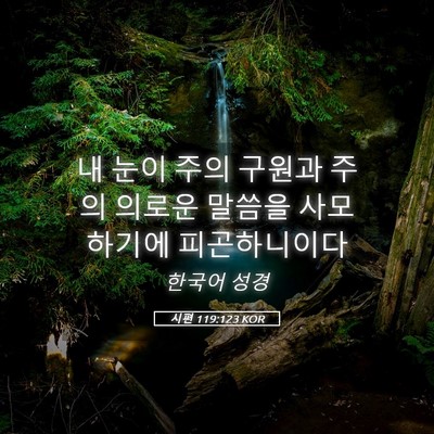 Picture 05 - 시편 119:123 KOR - 내 눈이 주의 구원과 주의 의로운 - Bible Verse Picture