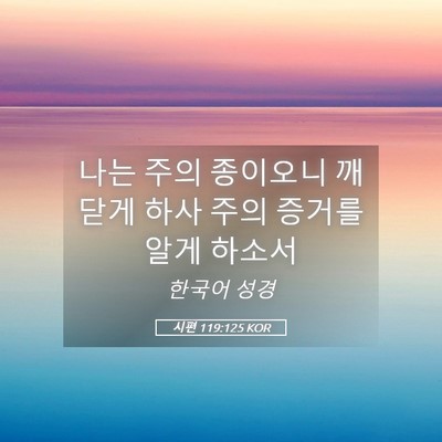 Picture 05 - 시편 119:125 KOR - 나는 주의 종이오니 깨닫게 하사 - Bible Verse Picture