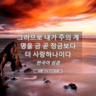 Picture 05 - 시편 119:127 KOR - 그러므로 내가 주의 계명을 금 곧 - Bible Verse Picture