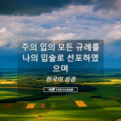 Picture 05 - 시편 119:13 KOR - 주의 입의 모든 규례를 나의 입술로 - Bible Verse Picture