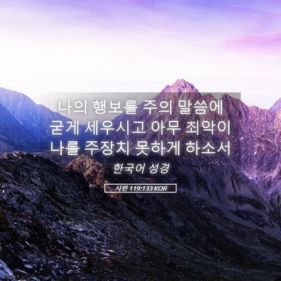 Picture 05 - 시편 119:133 KOR - 나의 행보를 주의 말씀에 굳게 - Bible Verse Picture