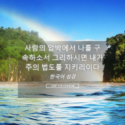 Picture 05 - 시편 119:134 KOR - 사람의 압박에서 나를 구속하소서 - Bible Verse Picture
