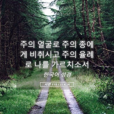 Picture 05 - 시편 119:135 KOR - 주의 얼굴로 주의 종에게 비취시고 - Bible Verse Picture