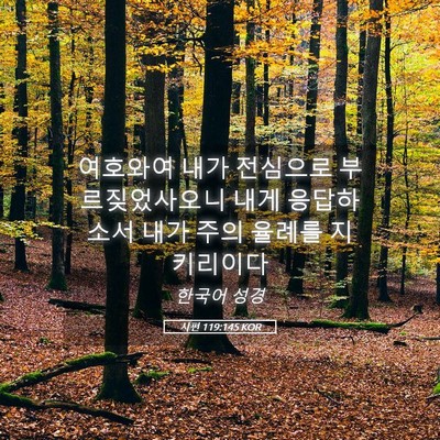 Picture 05 - 시편 119:145 KOR - 여호와여 내가 전심으로 - Bible Verse Picture