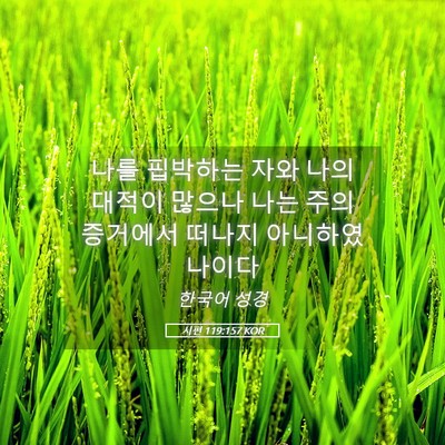 Picture 05 - 시편 119:157 KOR - 나를 핍박하는 자와 나의 대적이 - Bible Verse Picture
