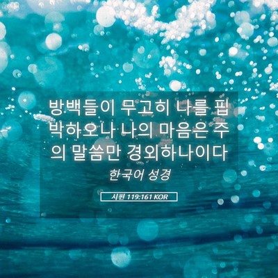 Picture 05 - 시편 119:161 KOR - 방백들이 무고히 나를 핍박하오나 - Bible Verse Picture