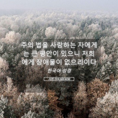 Picture 05 - 시편 119:165 KOR - 주의 법을 사랑하는 자에게는 큰 - Bible Verse Picture