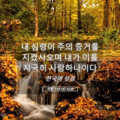 Picture 05 - 시편 119:167 KOR - 내 심령이 주의 증거를 지켰사오며 - Bible Verse Picture