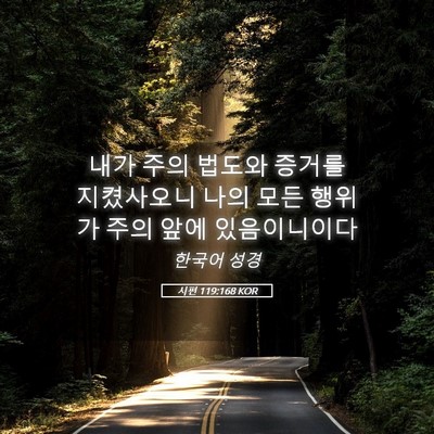 Picture 05 - 시편 119:168 KOR - 내가 주의 법도와 증거를 지켰사오니 - Bible Verse Picture