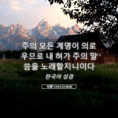 Picture 05 - 시편 119:172 KOR - 주의 모든 계명이 의로우므로 내 - Bible Verse Picture