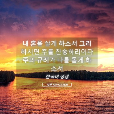 Picture 05 - 시편 119:175 KOR - 내 혼을 살게 하소서 그리하시면 - Bible Verse Picture