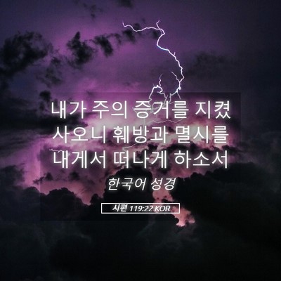 Picture 05 - 시편 119:22 KOR - 내가 주의 증거를 지켰사오니 훼방과 - Bible Verse Picture