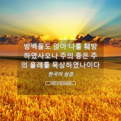 Picture 05 - 시편 119:23 KOR - 방백들도 앉아 나를 훼방하였사오나 - Bible Verse Picture