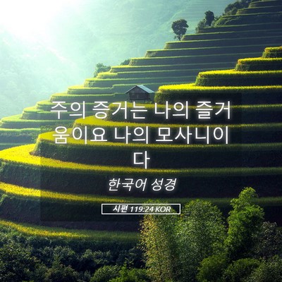 Picture 05 - 시편 119:24 KOR - 주의 증거는 나의 즐거움이요 나의 - Bible Verse Picture