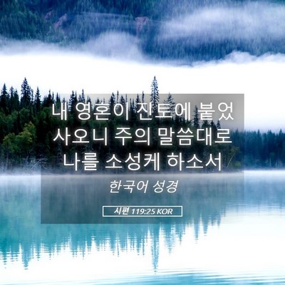 Picture 05 - 시편 119:25 KOR - 내 영혼이 진토에 붙었사오니 주의 - Bible Verse Picture