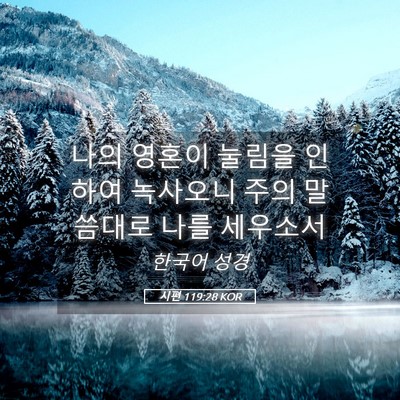 Picture 05 - 시편 119:28 KOR - 나의 영혼이 눌림을 인하여 녹사오니 - Bible Verse Picture