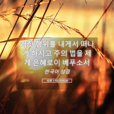 Picture 05 - 시편 119:29 KOR - 거짓 행위를 내게서 떠나게 하시고 - Bible Verse Picture
