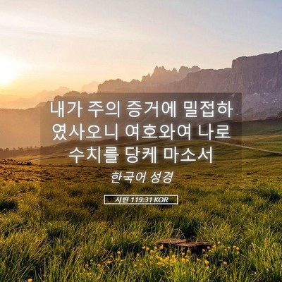 Picture 05 - 시편 119:31 KOR - 내가 주의 증거에 밀접하였사오니 - Bible Verse Picture