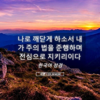 Picture 05 - 시편 119:34 KOR - 나로 깨닫게 하소서 내가 주의 법을 - Bible Verse Picture
