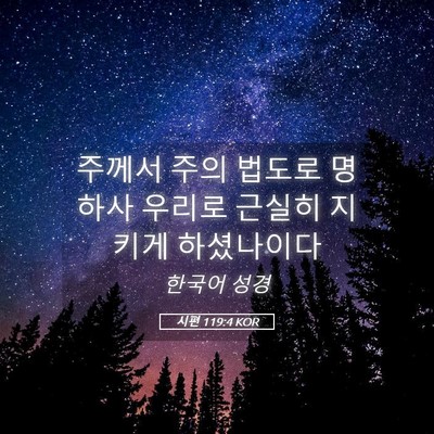 Picture 05 - 시편 119:4 KOR - 주께서 주의 법도로 명하사 우리로 - Bible Verse Picture
