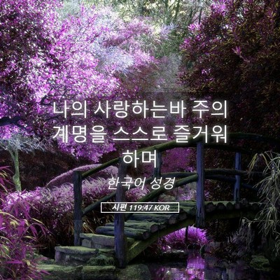 Picture 05 - 시편 119:47 KOR - 나의 사랑하는바 주의 계명을 스스로 - Bible Verse Picture