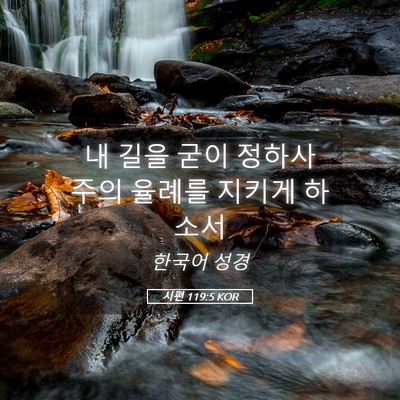 Picture 05 - 시편 119:5 KOR - 내 길을 굳이 정하사 주의 율례를 - Bible Verse Picture
