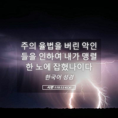 Picture 05 - 시편 119:53 KOR - 주의 율법을 버린 악인들을 인하여 - Bible Verse Picture