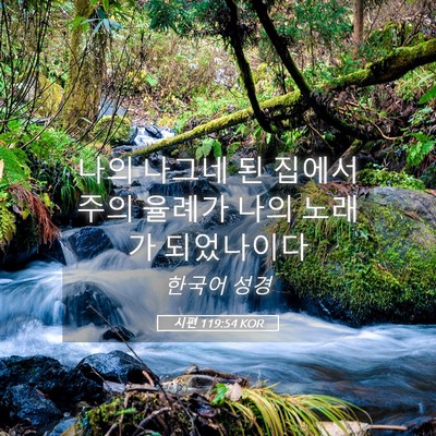 Picture 05 - 시편 119:54 KOR - 나의 나그네 된 집에서 주의 율례가 - Bible Verse Picture