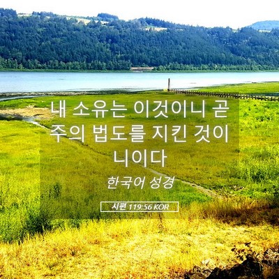 Picture 05 - 시편 119:56 KOR - 내 소유는 이것이니 곧 주의 법도를 - Bible Verse Picture