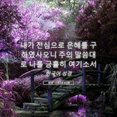 Picture 05 - 시편 119:58 KOR - 내가 전심으로 은혜를 구하였사오니 - Bible Verse Picture