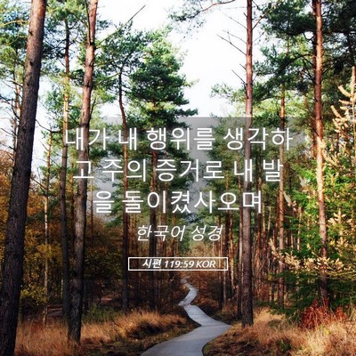 Picture 05 - 시편 119:59 KOR - 내가 내 행위를 생각하고 주의 - Bible Verse Picture