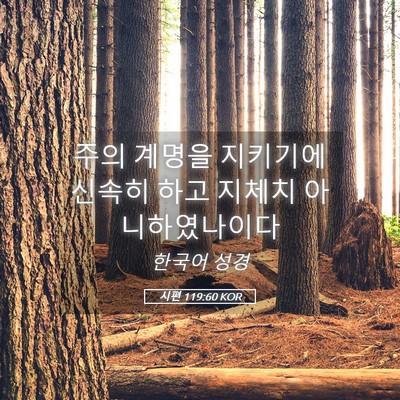 Picture 05 - 시편 119:60 KOR - 주의 계명을 지키기에 신속히 하고 - Bible Verse Picture