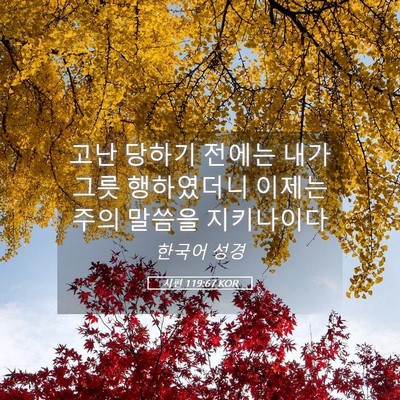 Picture 05 - 시편 119:67 KOR - 고난 당하기 전에는 내가 그릇 - Bible Verse Picture