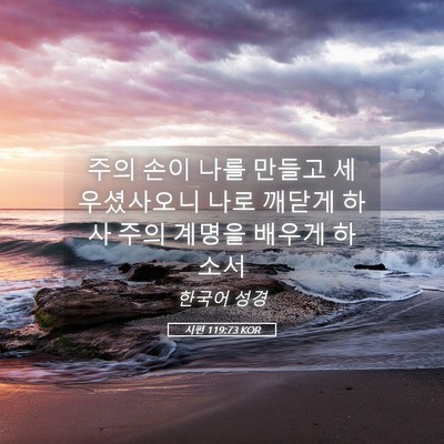 Picture 05 - 시편 119:73 KOR - 주의 손이 나를 만들고 세우셨사오니 - Bible Verse Picture