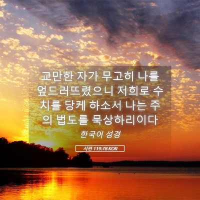 Picture 05 - 시편 119:78 KOR - 교만한 자가 무고히 나를 - Bible Verse Picture
