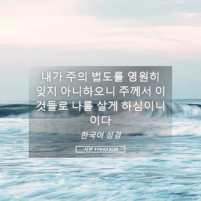 Picture 05 - 시편 119:93 KOR - 내가 주의 법도를 영원히 잊지 - Bible Verse Picture