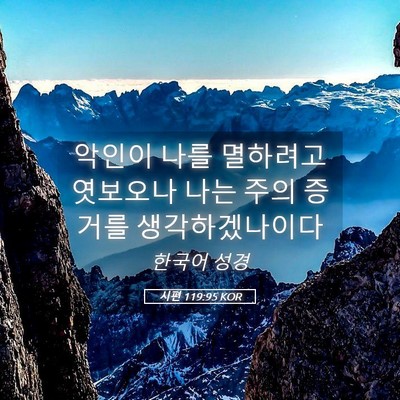 Picture 05 - 시편 119:95 KOR - 악인이 나를 멸하려고 엿보오나 나는 - Bible Verse Picture